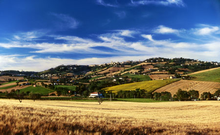 campagna recanatese0020