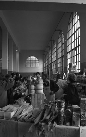 mercato delle erbe003